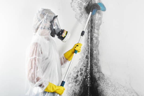 Best Dehumidification Services  in Austintown, OH